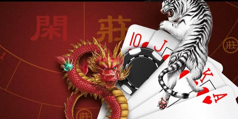 Cách Chơi Rồng Hổ Online Luôn Thắng Của Tay Chơi Lão Làng