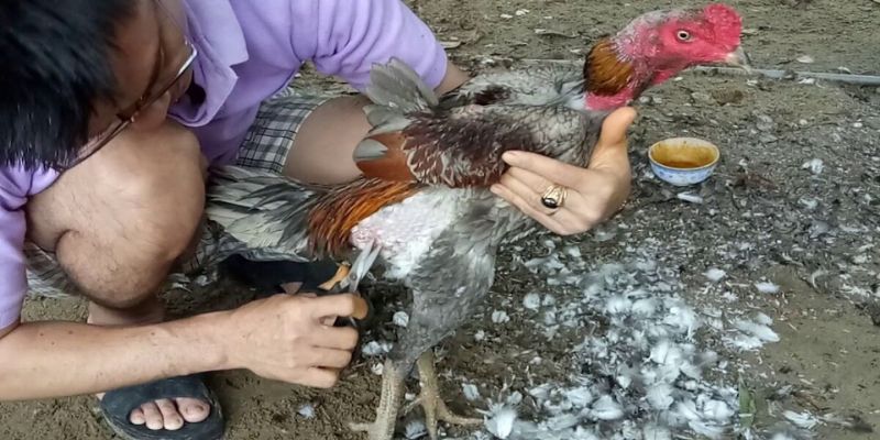 Tần suất thực hiện việc om bóp trong ngày